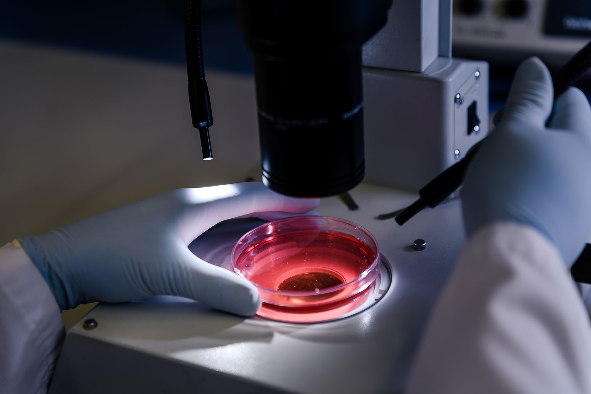 cientifica-miranda-fondo-quimicos-10